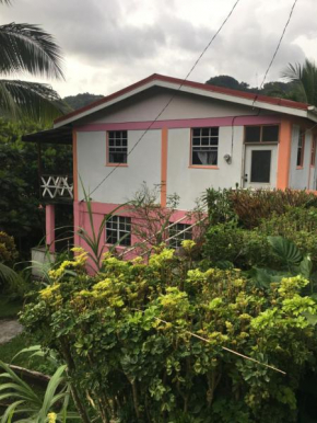 Anthurium Apartment